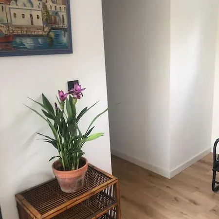 Nimes, La Garrigue, Calme, Cigales Casa vacanze